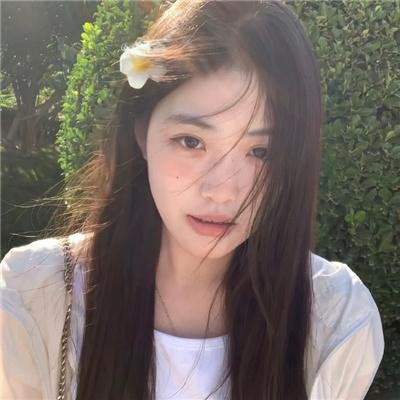 分歧者封面