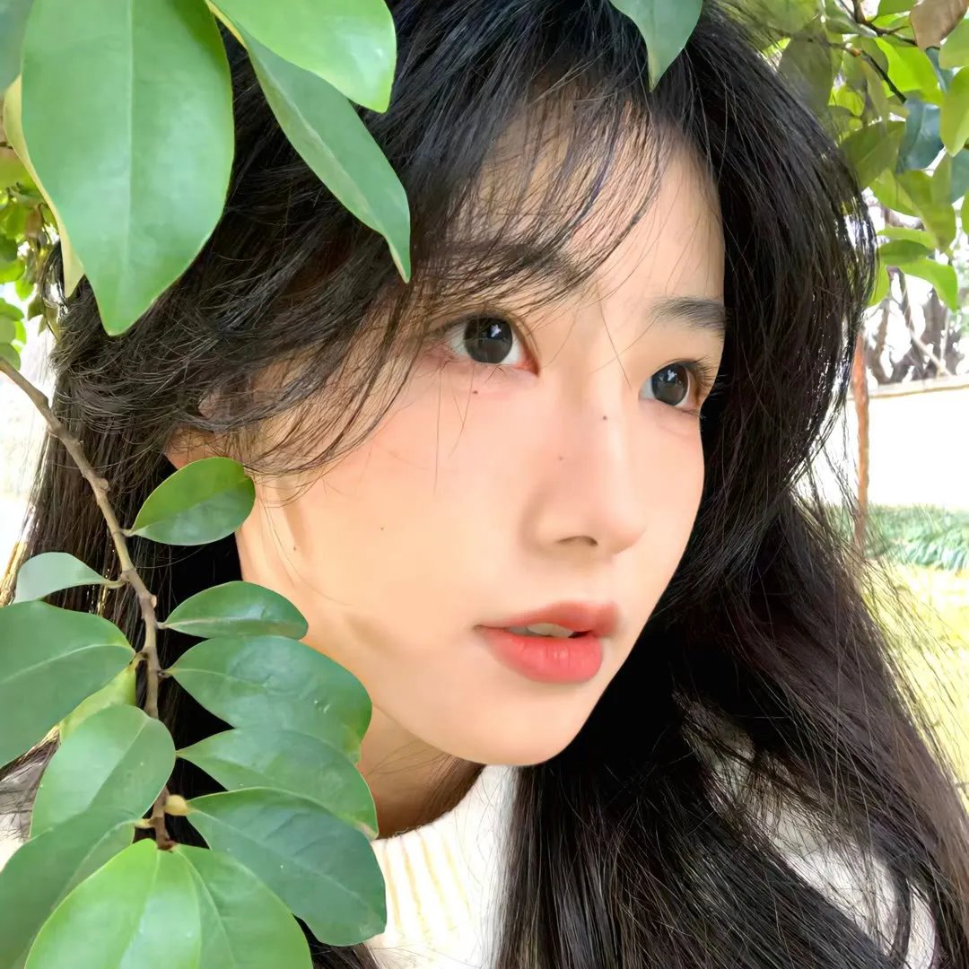玉美人封面