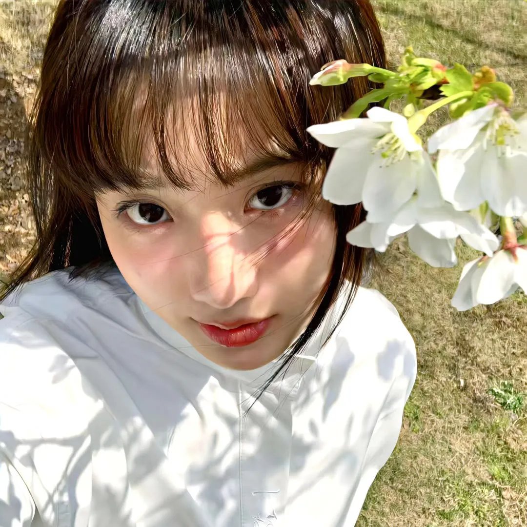 笼中鸟封面